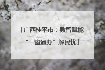 广西桂平市：数智赋能“一窗通办”解民忧